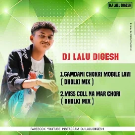 GAMDA NI CHOMARI ( DJ LALU DIGASH )